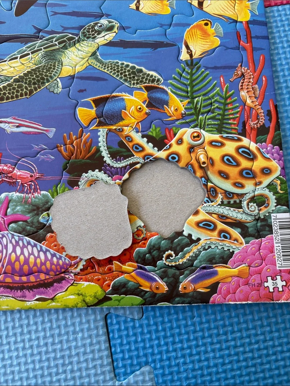Sea life puzzle
